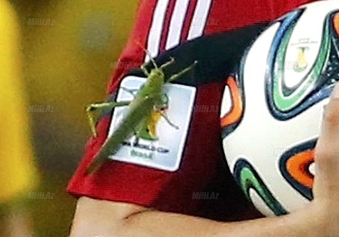 Colombia's Rodriguez celebrates after scoring a penalty against Brazil during their 2014 World Cup quarter-finals at the Castela