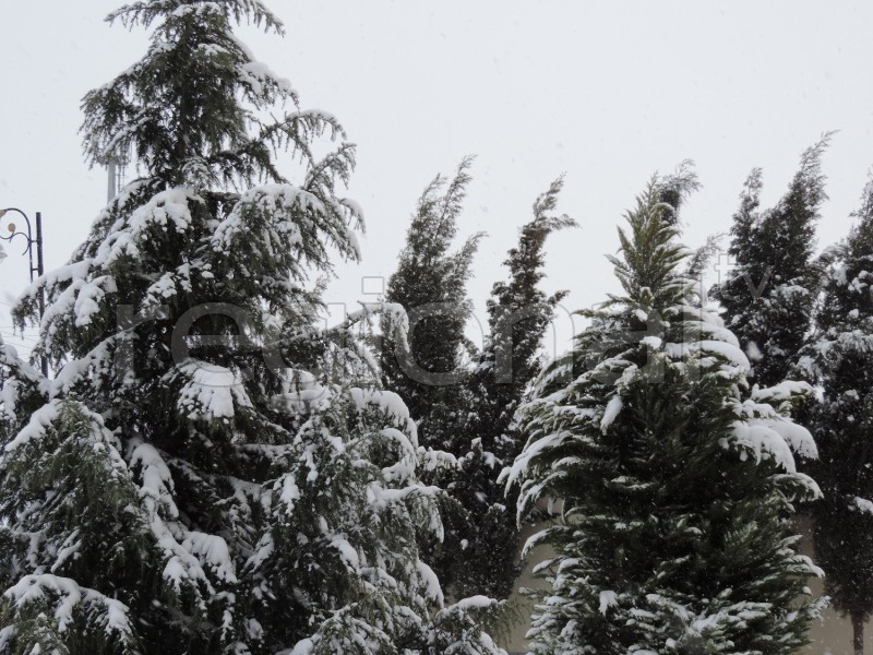 Nabrana yarım metrdən çox qar yağıb - YENİLƏNİB - FOTO