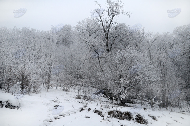 Azərbaycan dağlarının qış görüntüləri - FOTOSESSİYA