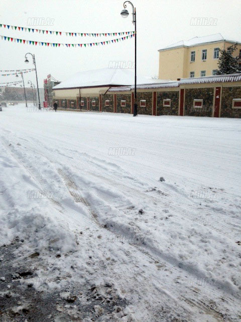 Quba ağ örpəkdə - FOTO