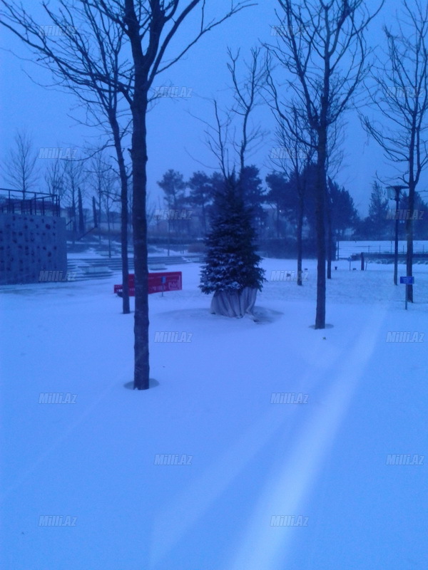 Bakıya güclü qar yağır - YENİLƏNİB - VİDEO - FOTOSESSİYA