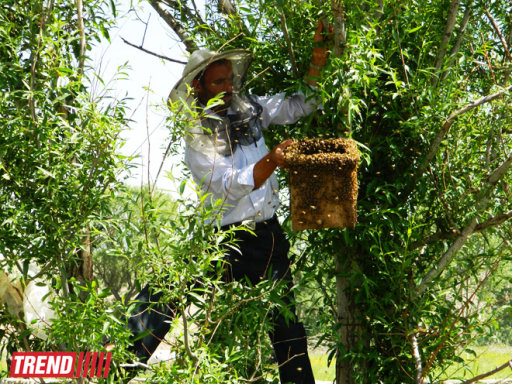 Ərdəbil - Şah İsmayıl Xətainin uyuduğu diyar - FOTO
