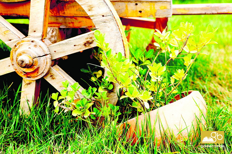 Xaçmaz: gözəl, qədim diyar - FOTO