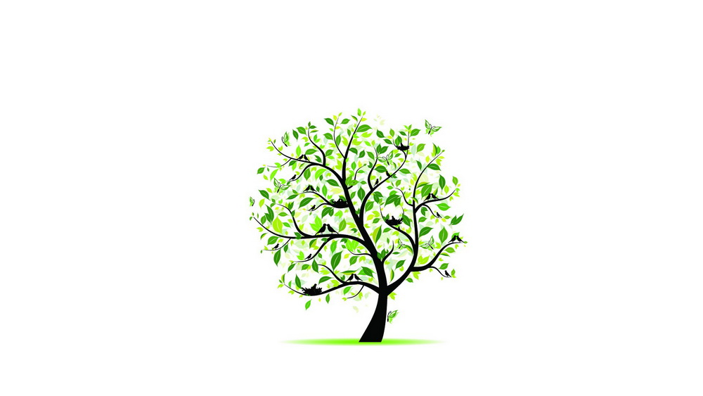 Kompüteriniz üçün maraqlı şəkillər - FOTOSESSİYA