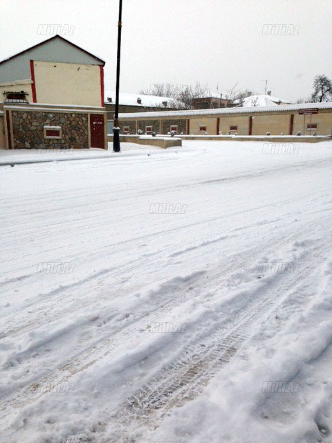 Quba ağ örpəkdə - FOTO