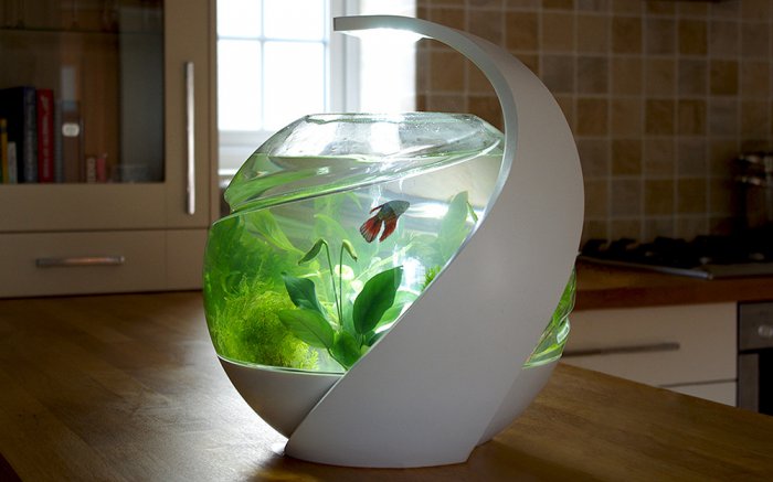 Özünü təmizləyən akvarium - FOTO