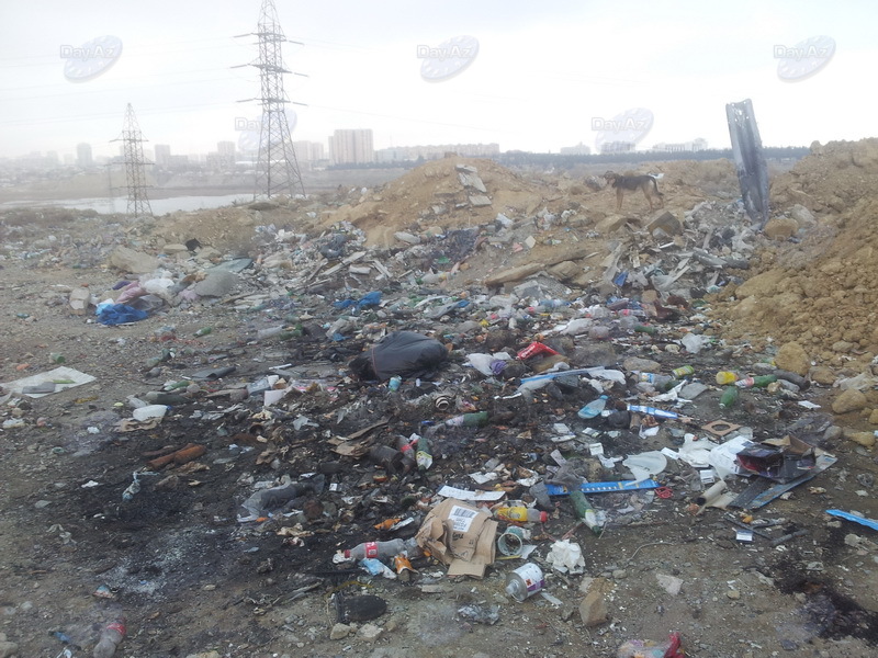 Maşın bazarında yanan nədir? - FOTO