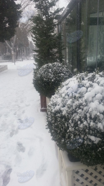 Bakıya güclü qar yağır - YENİLƏNİB - VİDEO - FOTOSESSİYA