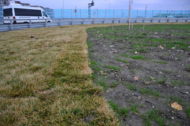 Olimpiadanın arxa qapısı - FOTOSESSİYA