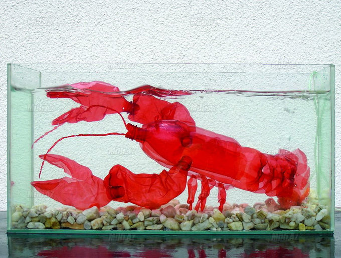 Plastik butulkalar sənəti - FOTO