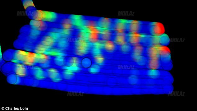 Evdə Wi-Fi pis "tutur"? Çıxış yolu var - VİDEO - FOTO