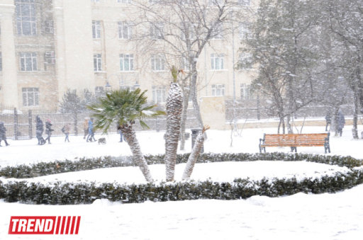 Bakı ağ libasa büründü - FOTOSESSİYA