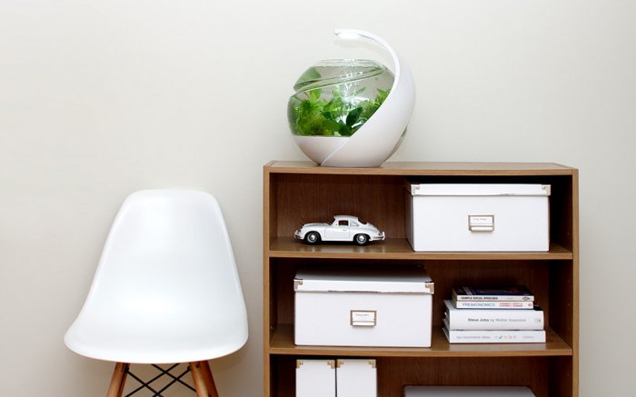 Özünü təmizləyən akvarium - FOTO