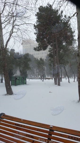 Bakıya güclü qar yağır - YENİLƏNİB - VİDEO - FOTOSESSİYA