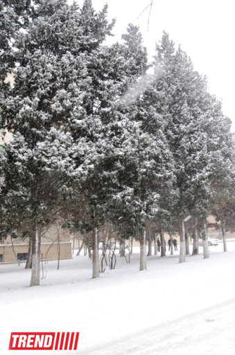 Bakı ağ libasa büründü - FOTOSESSİYA