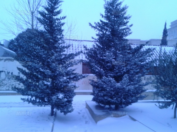 Bakıya güclü qar yağır - YENİLƏNİB - VİDEO - FOTOSESSİYA