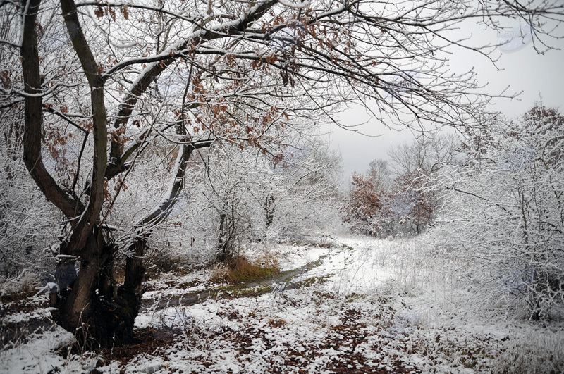 Azərbaycan dağlarının qış görüntüləri - FOTOSESSİYA