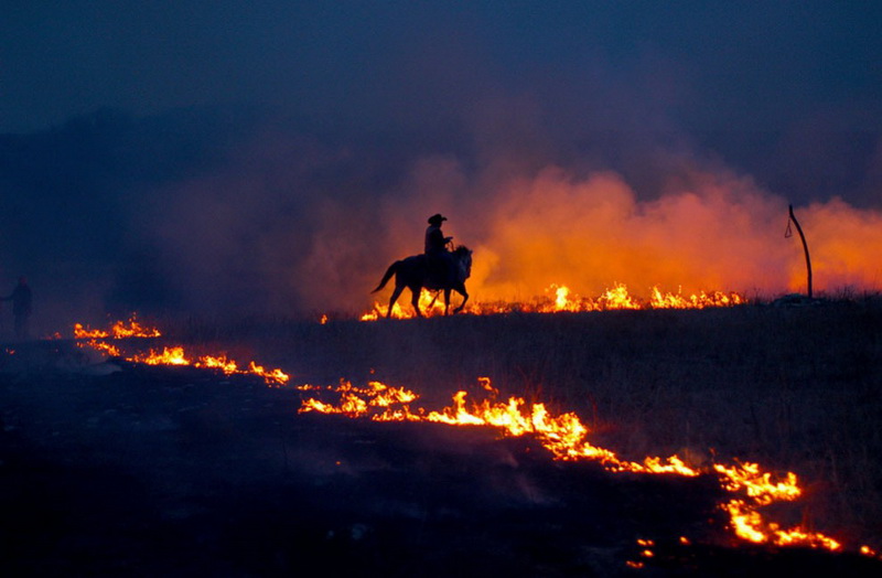 Maraqlı FOTOSESSİYA