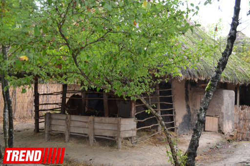 Xəzər sahilində fərqli muzey - FOTO