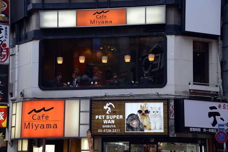 Gündoğar ölkədə səyahət - FOTOSESSİYA