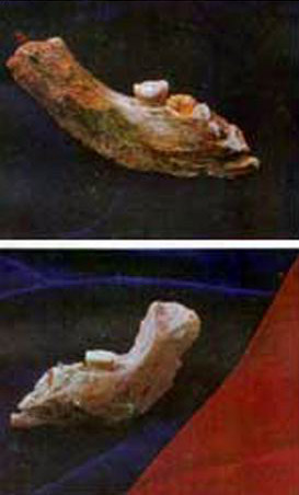 Damcılı bulaq, sirli Azıx və patriarxın arzuları - FOTO