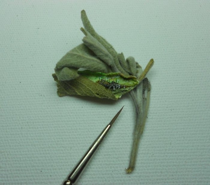 Balaca əsərlər ustası - FOTO