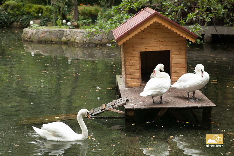 Xaçmaz: gözəl, qədim diyar - FOTO
