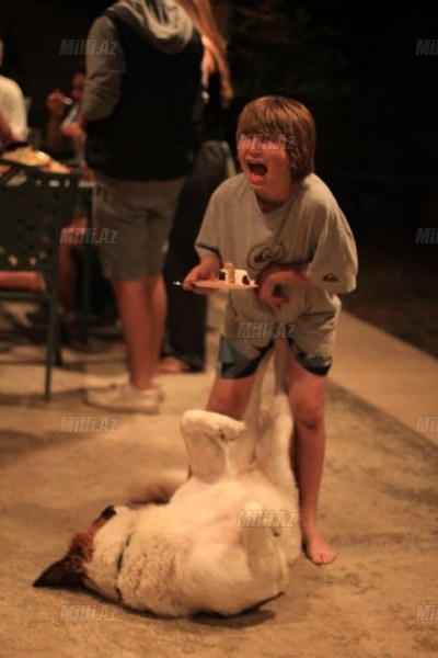 Lazımi məqamda çəkilmiş FOTOlar