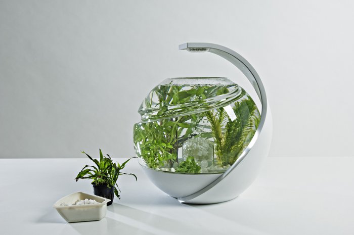 Özünü təmizləyən akvarium - FOTO