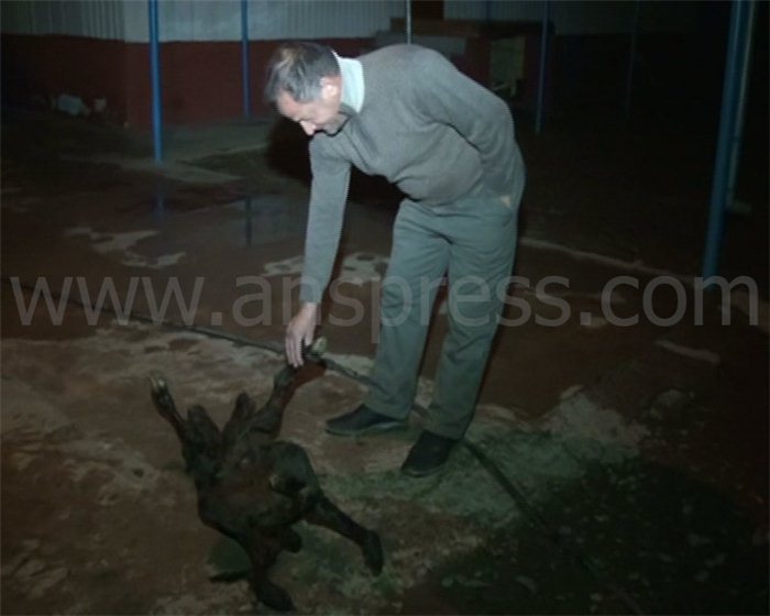 Azərbaycanda qeyri-adi hadisə - YENİLƏNİB - VİDEO - FOTO