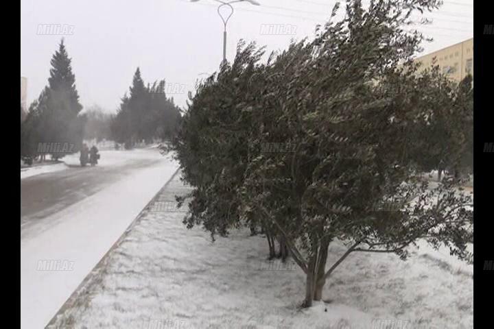 Aran bölgəsi qara təslim oldu - FOTO - VİDEO