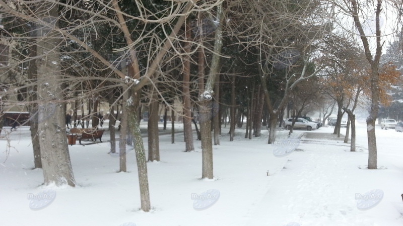 Bakıya güclü qar yağır - YENİLƏNİB - VİDEO - FOTOSESSİYA