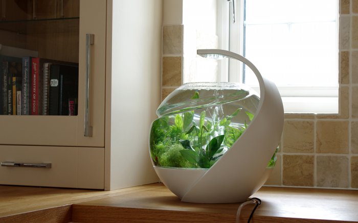 Özünü təmizləyən akvarium - FOTO