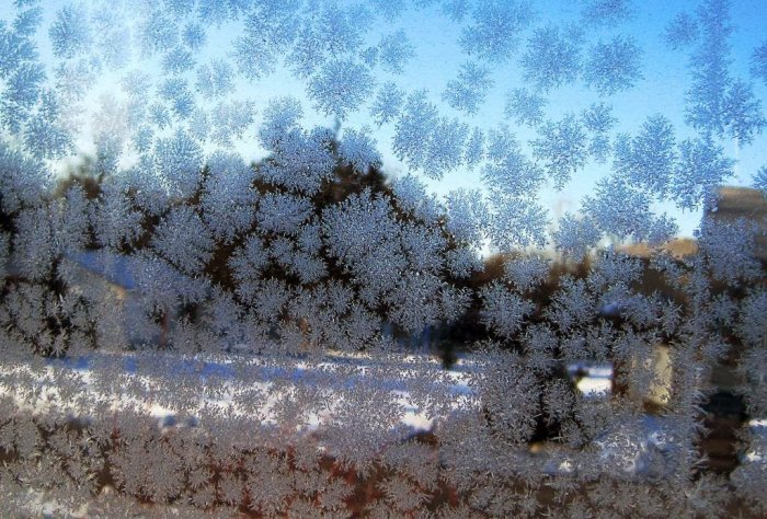 Şüşədə buzlu naxışlar - FOTO