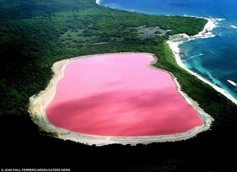 Səhranın ortasında cənnət - FOTOSESSİYA