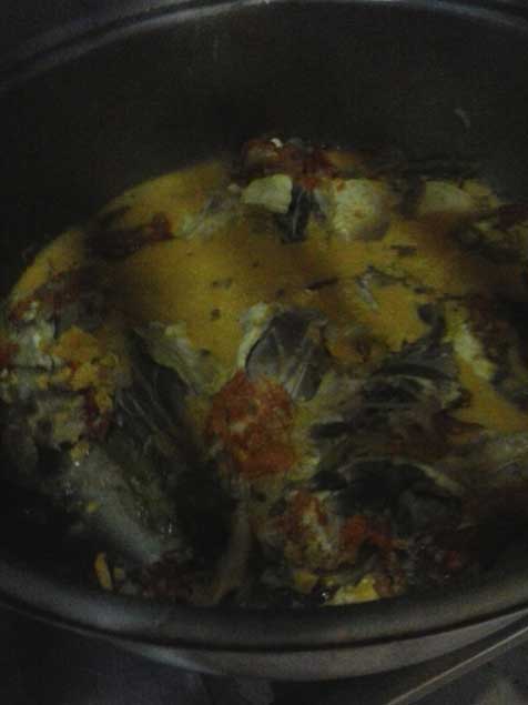 Bakıdakı "Yaşıl bağ" restoranında qurd bəslənir - FOTO