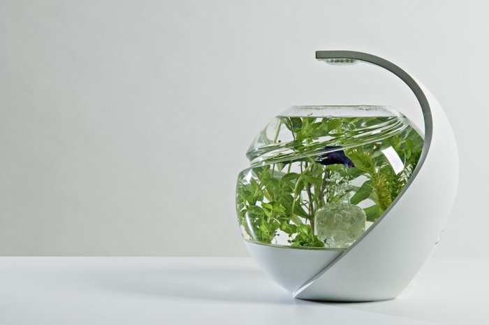 Özünü təmizləyən akvarium - FOTO