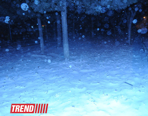 Bakıya qar yağır - YENİLƏNİB - FOTOSESSİYA