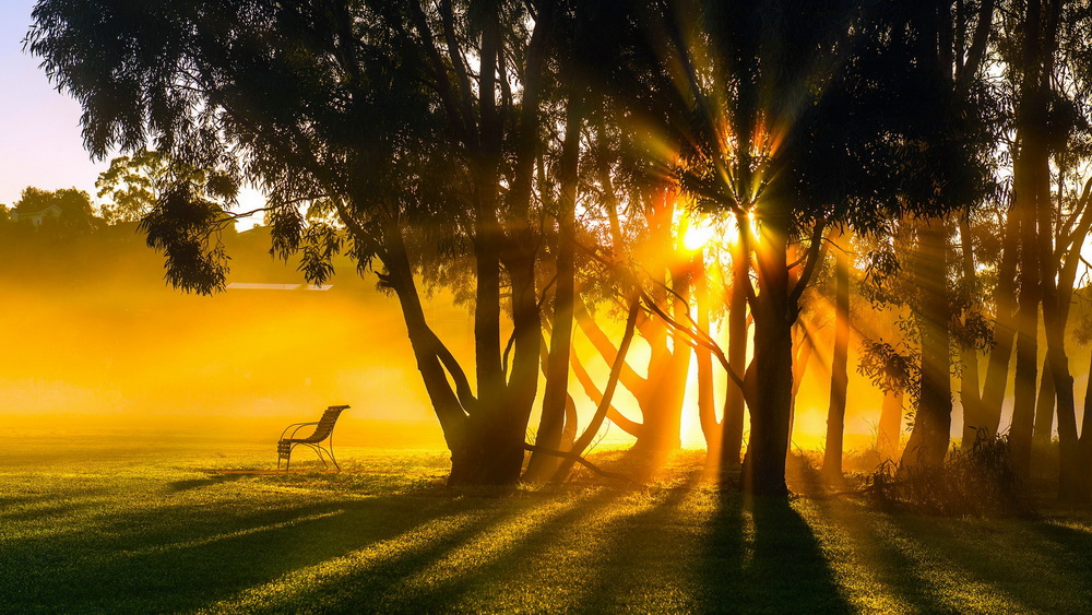 Kompüteriniz üçün maraqlı şəkillər - FOTOSESSİYA