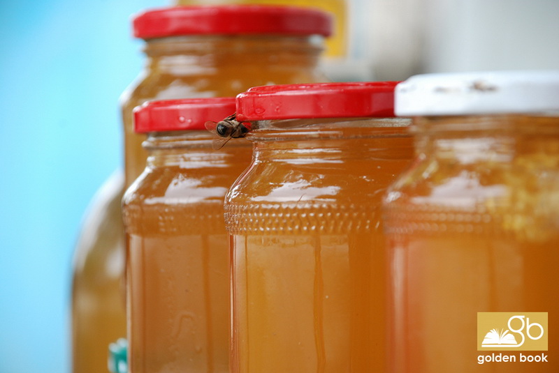 Xaçmaz: gözəl, qədim diyar - FOTO