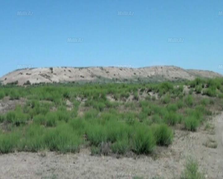 Qədim yaşayış məskəni - Muxurtəpə - VİDEO - FOTO