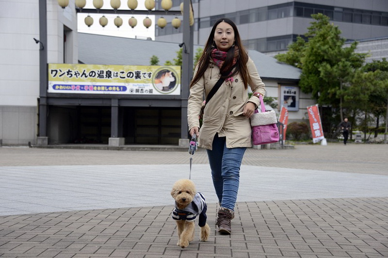 Gündoğar ölkədə səyahət - FOTOSESSİYA