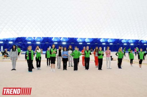 Beynəlxalq Gimnastika Federasiya Bakıda təlim kursları keçirir - FOTO