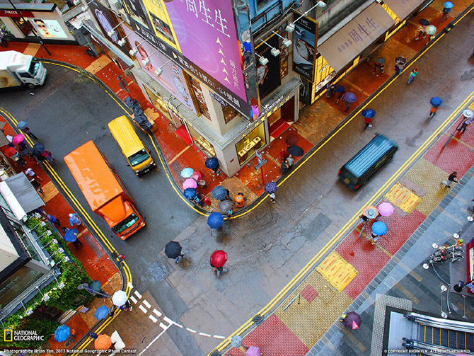 "National Geographic"dən bu ilin ən yaxşı FOTOLARI