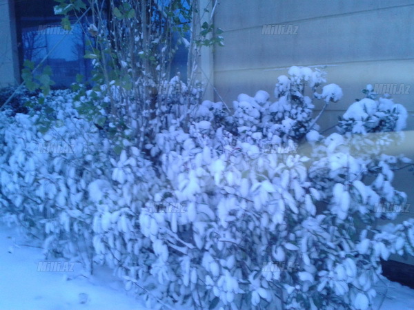 Bakıya güclü qar yağır - YENİLƏNİB - VİDEO - FOTOSESSİYA