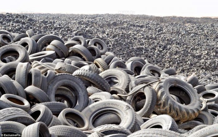 Ən böyük şin qəbristanlığı - FOTO