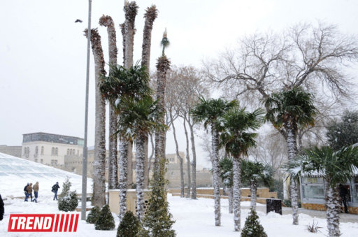 Bakı ağ libasa büründü - FOTOSESSİYA
