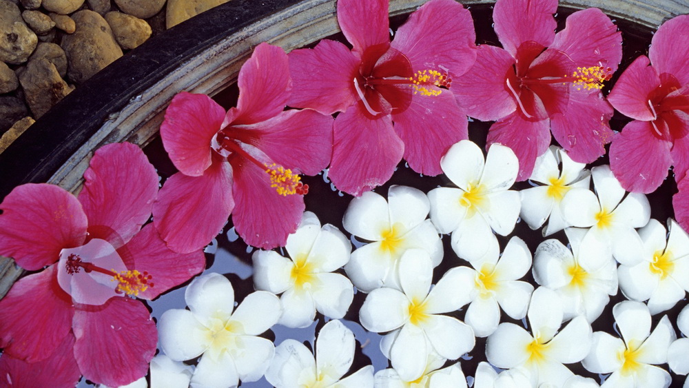 Kompüteriniz üçün maraqlı şəkillər - FOTOSESSİYA