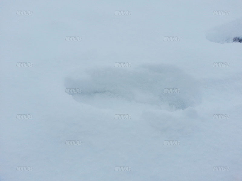 Qazax rayonuna güclü qar yağıb - FOTO