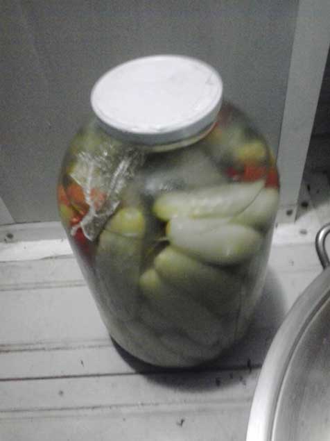 Bakıdakı "Yaşıl bağ" restoranında qurd bəslənir - FOTO